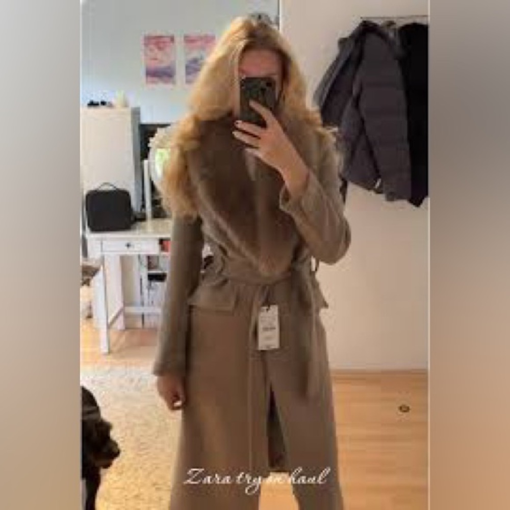 Zara Beige Fur-Trimmed Coat - Picture 6 of 16